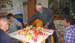 Купить Саженцы плодово-ягодных деревьев